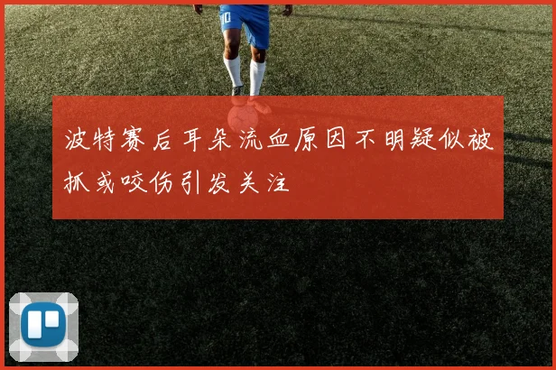 波特赛后耳朵流血原因不明疑似被抓或咬伤引发关注
